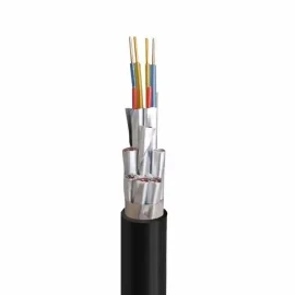 DJYPVP 300/500V Individual & Overall Screened Instrumentation Cable | Twisted Pair Computer Cable（BS 5308 Part 2 Compliant）